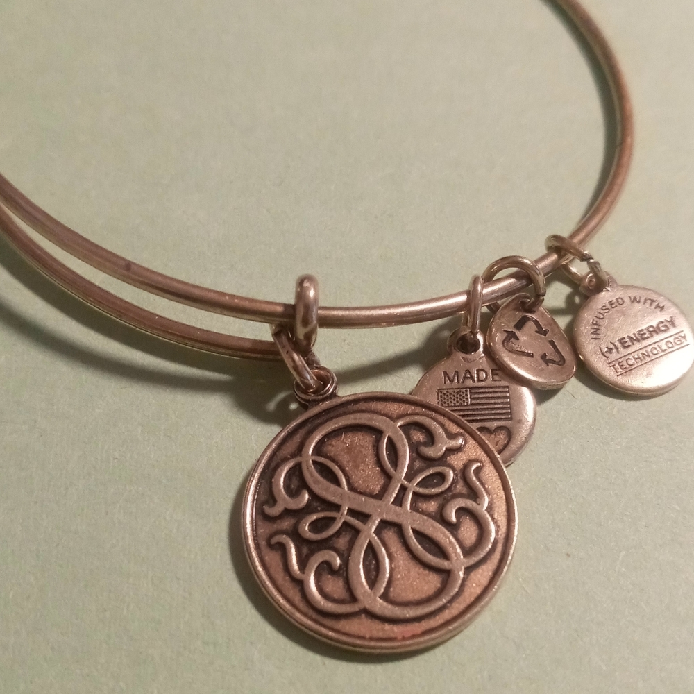Alex and Ani path of life charm bangle bracelet in a clean brass finish.